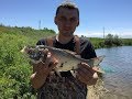 рыбалка на платном озере вблизи Алматы.
