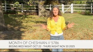 видео: Хешван 5786 Преподавание на доске Кристин Вейлс картинка: Хешван 5786 Преподавание на доске Кристин Вейлс