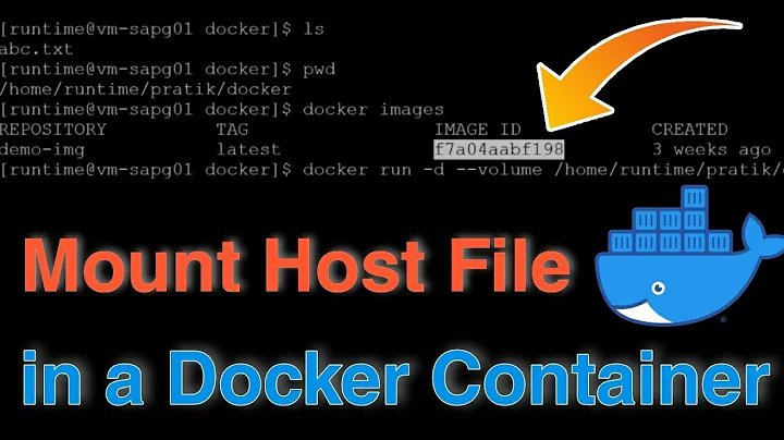 How To Mount a Host Files in a Docker Container?