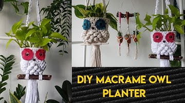 Macrame Owl Plant Hanger | Step by Step Tutorial for Beginners