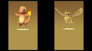 2Km Egg Hatch Charmander & Pidgey