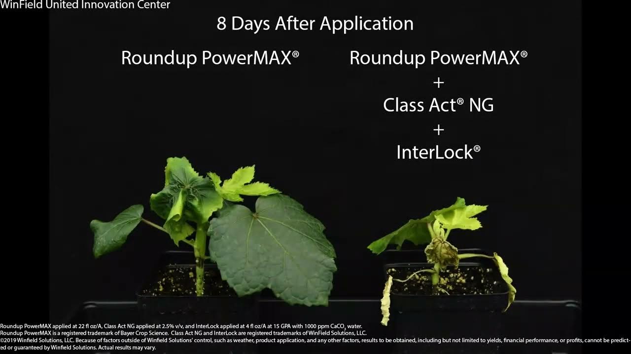 Class Act NG + InterLock Performance with Roundup PowerMax YouTube