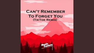 Can’t Remember To Forget You (TikTok)