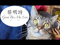 黎明詩 Stephanie Lai Good Bye My Love 粵語流行曲 Cantonese Cpop 黎明詩 Stephanie Lai Good Bye My Love 粵語流行曲 Cantonese Cpop