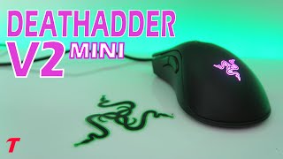 Razer DeathAdder V2 Mini Review - A better Viper Mini?