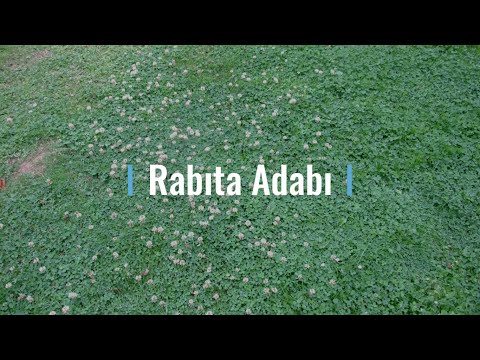 Rabıta Adabı: Arifler Yolunun Edepleri