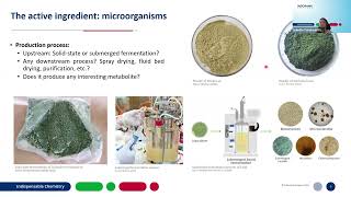 Overcoming Formulation Challenges: Navigating the Development of Biologicals