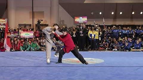 Grand Master Chen Zhenglei Demo push hands