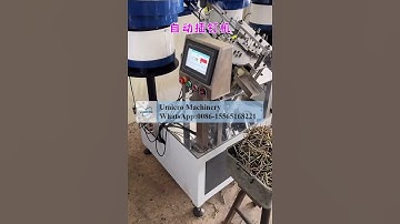 Automated nail insertion equipment