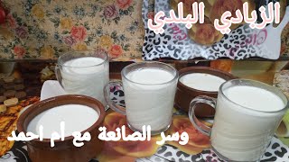 #طريقة عمل الزبادى البلدى# وسر الصانعة مع أم احمد/ مع قناة غداء وتحلية