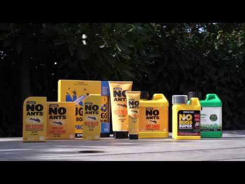 Video - How to Get Rid of Ants