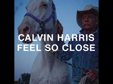 Calvin Harris - Feel So Close (Instrumental)