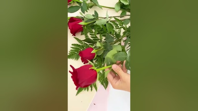 Өте қарт әйелдердің порнофотосуреттері