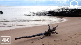 Small waves at Woodgate Beach, Australia