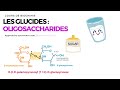 Glucides  disaccharides et oligosaccharides  biochimie facile