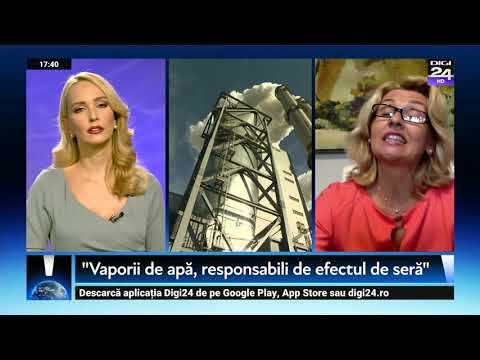 Video: Pădurile sunt absorbante de carbon?