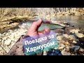 Поездка за Хариусом.Речка Мраморная.