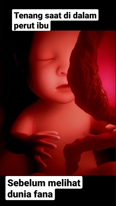 kehidupan bayi di dalam perut ibu