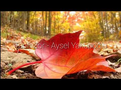 Aysel Yakupoğlu - Tarifi zor