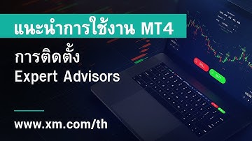 XM.COM - แนะนำการใช้งาน MT4 - การติดตั้ง Expert Advisors