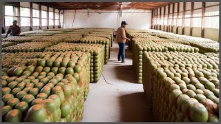 Cosechando Las Frutas Exóticas Más Deliciosas Del Mundo