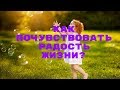 Как почувствовать радость жизни?