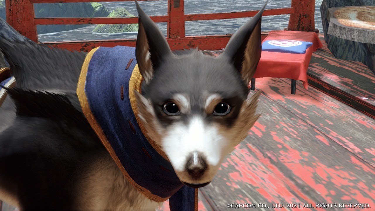 モンスターハンターライズワンワン シリーズ初見 Youtube