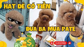 Hạt Dẻ cho tiền ba mua Pate | Thanh xưng của bà Hạt Dẻ