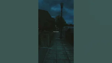 دهب وفيق حبيب 