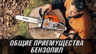 Бензопила Stihl MS 201 C-M с шиной Сarving 12