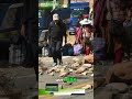 Morales  Mandamiento de Aprehensión y Justicia en Bolivia
