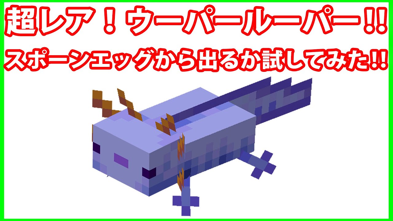 青色ウーパールーパーって本当に出るの スポーンエッグでウーパールーパー5760匹出してみた 統合版 Minecraft Ps4版 バージョン1 17 0 Youtube