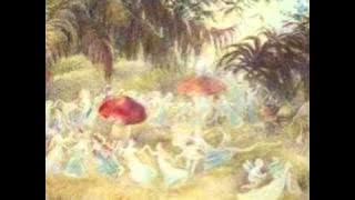 Tchaikovsky ~ Dance of the Sugar Plum Fairy