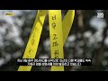 '솜방망이 판결' 걱정에 릴레이 성명..광주 학생들 "단 한 줌의 자비도" (자막뉴스) / SBS