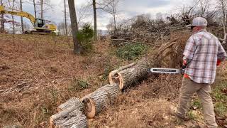 Husqvarna 562xp markii 2ft bar buried in hardwood