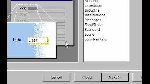Microsoft Office Access 2000 Creating a New database within Access