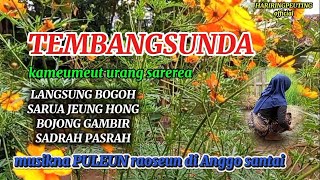 SOK INGET KA MANGSA NU KATUKANG #tembangsunda mengingat masa masa dulu