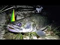 Судак на воблеры вечером и ночью!/Zander fishing on hard-baits in the evening and night!