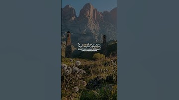 الزمر الآية (53)