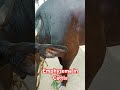 Emphysema in cattle|| Air in the skin ||sweeling in neck || #skindiseases #cow #shorts #disease