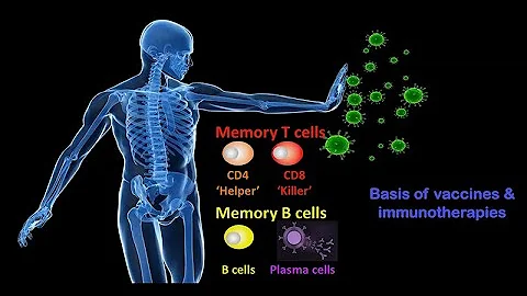 Infectious Disease and Human Origins: Susan Kaech:...