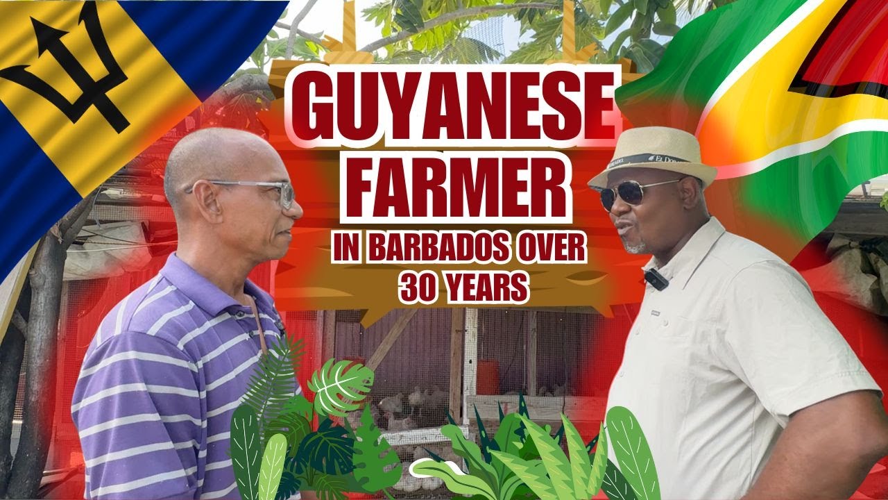 Фермер из Гайаны, работающий на Барбадосе более 30 лет.