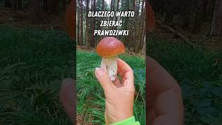 Ważne dla zdrowia tarczycy! #selen #tarczyca #hashimoto #niedoczynnośćtarczycy