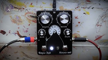 Memento mori Tempus fugit time traveller analog delay
