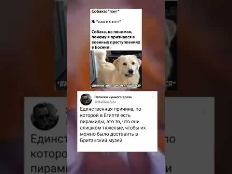 Мема4 Из Тик-Ток В Shorts 294 Юмор Мемы Приколы Shorts Tiktok Meme Memes