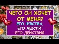 ЧЕГО ОН ХОЧЕТ ОТ МЕНЯ? ЕГО ЧУВСТВА, ЕГО МЫСЛИ, ЕГО ДЕЙСТВИЯ. Таро Онлайн Расклад Diamond Dream Tarot