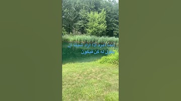 #قران_حالات_واتس #explore #القرآن_الكريم #سورة_يس #قرآن #محمد_صديق_المنشاوي #قران_بصوت_جميل #quran