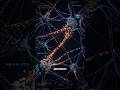 Scientists Just Reversed Alzheimer's & Found Time Does Something Impossible