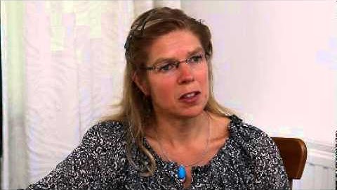 Wat is 3D IMGeo v2 webversie