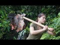 Skills to trap wild chickens bring wild chickens to the village for sale survival alone